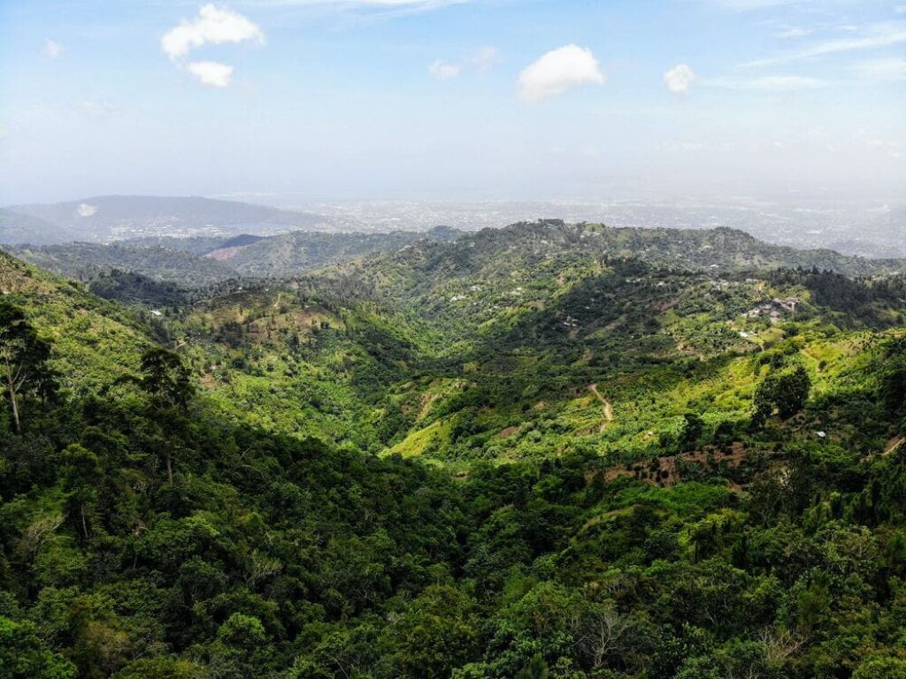Blue Mountain
