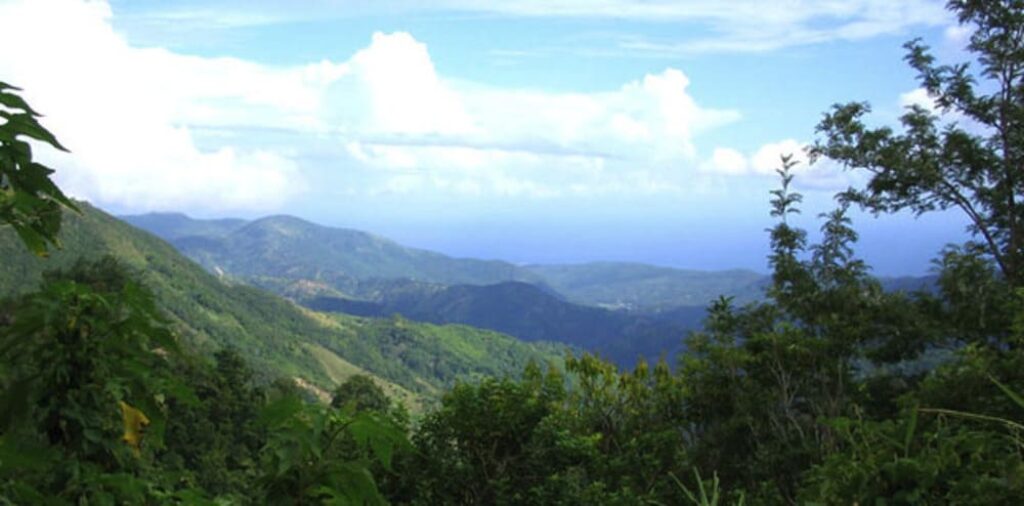 Jamaica-Blue-Mountains
